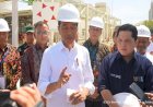Jokowi Janji Tambah Kuota Pupuk Subsidi 2 Kali Lipat