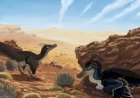 Jejak Kaki Deinonychosaurus Ditemukan di China