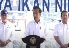 Jokowi Bantah Ada Surpres Majukan Pilkada 2024